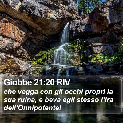 Giobbe 21:20 RIV Bible Verse Image