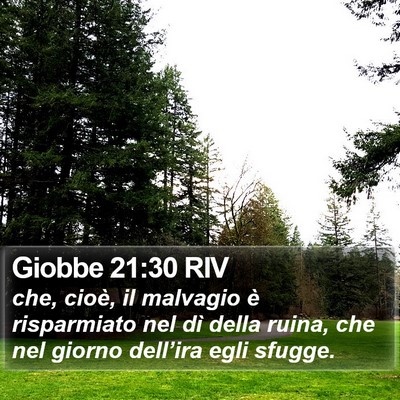 Giobbe 21:30 RIV Bible Verse Image