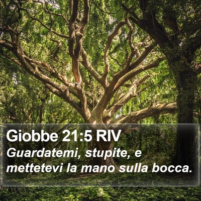 Giobbe 21:5 RIV Bible Verse Image