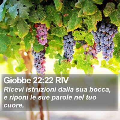 Giobbe 22:22 RIV Bible Verse Image
