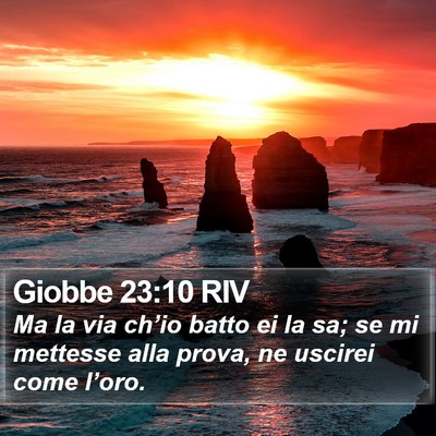 Giobbe 23:10 RIV Bible Verse Image