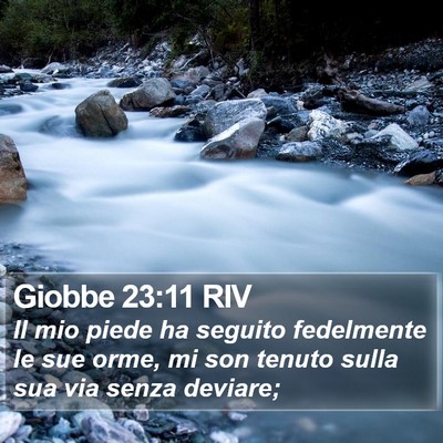 Giobbe 23:11 RIV Bible Verse Image