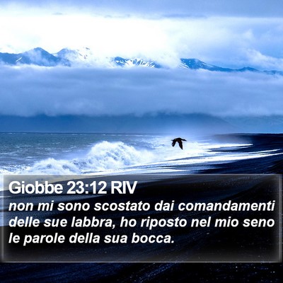 Giobbe 23:12 RIV Bible Verse Image