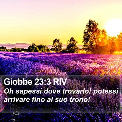 Giobbe 23:3 RIV Bible Verse Image