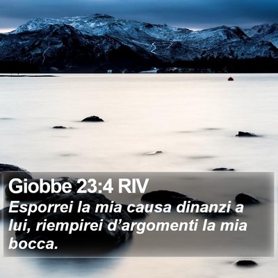 Giobbe 23:4 RIV Bible Verse Image