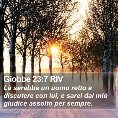 Giobbe 23:7 RIV Bible Verse Image