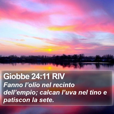 Giobbe 24:11 RIV Bible Verse Image