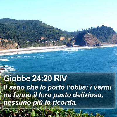 Giobbe 24:20 RIV Bible Verse Image