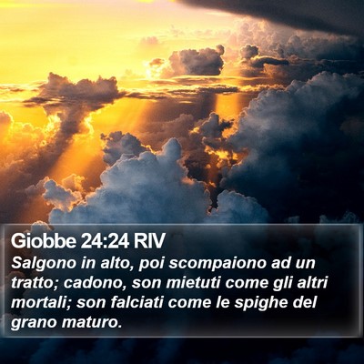 Giobbe 24:24 RIV Bible Verse Image