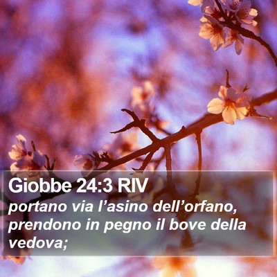 Giobbe 24:3 RIV Bible Verse Image