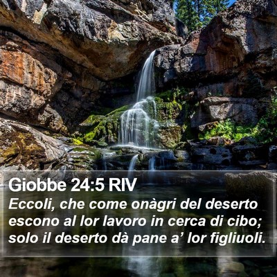 Giobbe 24:5 RIV Bible Verse Image