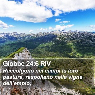 Giobbe 24:6 RIV Bible Verse Image