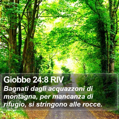 Giobbe 24:8 RIV Bible Verse Image