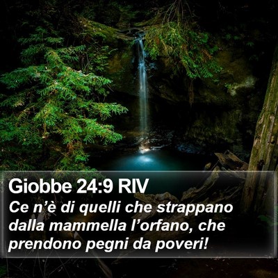 Giobbe 24:9 RIV Bible Verse Image