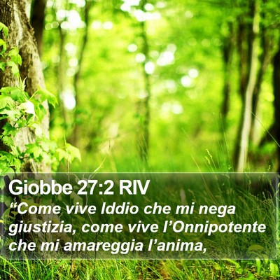 Giobbe 27:2 RIV Bible Verse Image