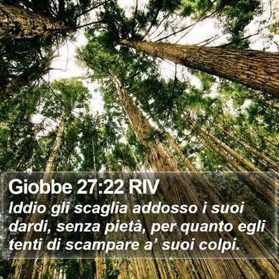 Giobbe 27:22 RIV Bible Verse Image