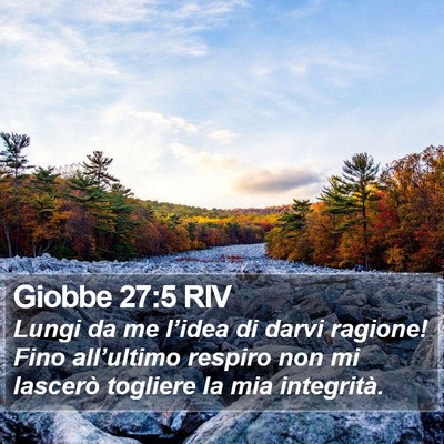Giobbe 27:5 RIV Bible Verse Image