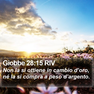 Giobbe 28:15 RIV Bible Verse Image