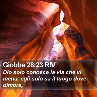 Giobbe 28:23 RIV Bible Verse Image