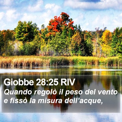 Giobbe 28:25 RIV Bible Verse Image