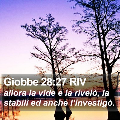 Giobbe 28:27 RIV Bible Verse Image