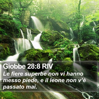 Giobbe 28:8 RIV Bible Verse Image