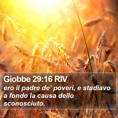 Giobbe 29:16 RIV Bible Verse Image