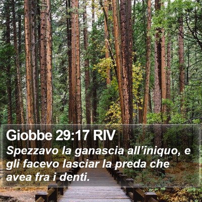 Giobbe 29:17 RIV Bible Verse Image