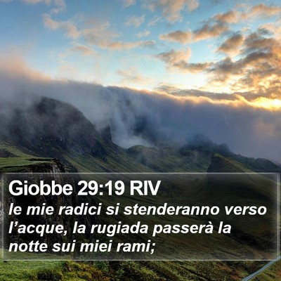 Giobbe 29:19 RIV Bible Verse Image