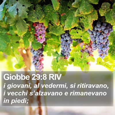 Giobbe 29:8 RIV Bible Verse Image