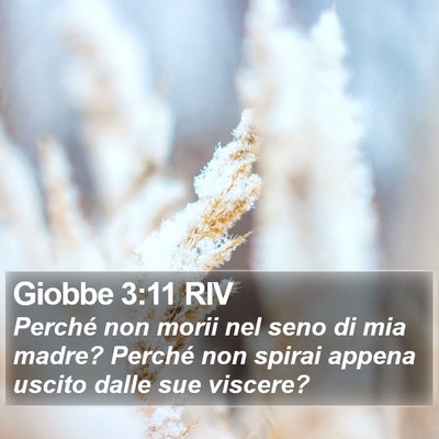 Giobbe 3:11 RIV Bible Verse Image