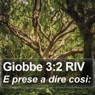 Giobbe 3:2 RIV Bible Verse Image