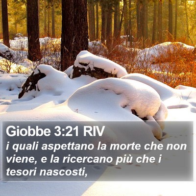 Giobbe 3:21 RIV Bible Verse Image