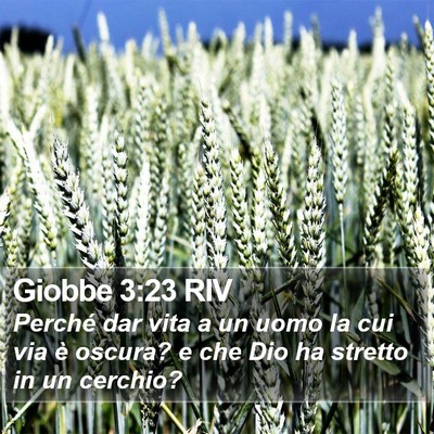 Giobbe 3:23 RIV Bible Verse Image