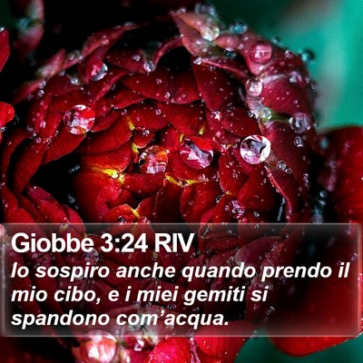 Giobbe 3:24 RIV Bible Verse Image