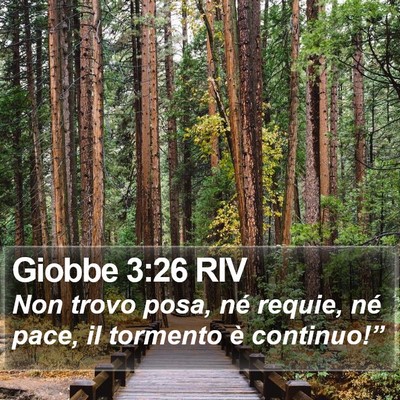 Giobbe 3:26 RIV Bible Verse Image
