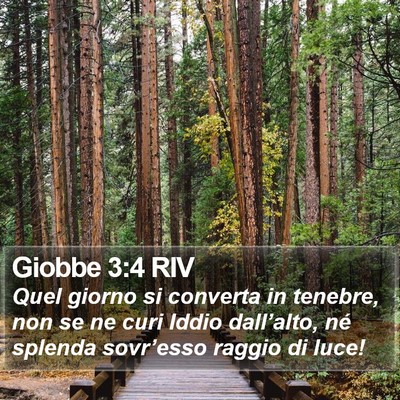 Giobbe 3:4 RIV Bible Verse Image
