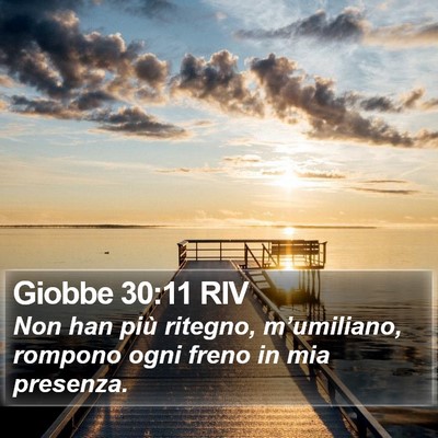 Giobbe 30:11 RIV Bible Verse Image