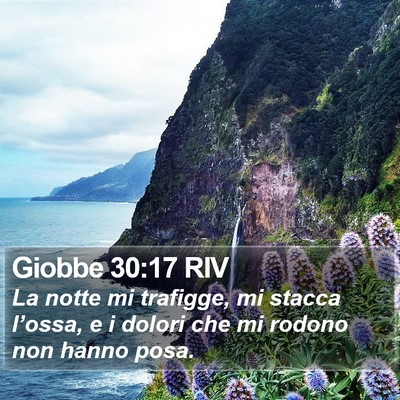 Giobbe 30:17 RIV Bible Verse Image