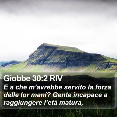 Giobbe 30:2 RIV Bible Verse Image