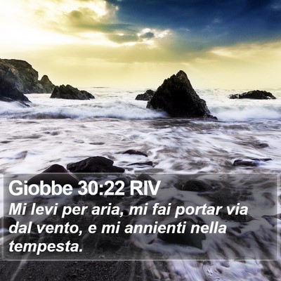 Giobbe 30:22 RIV Bible Verse Image
