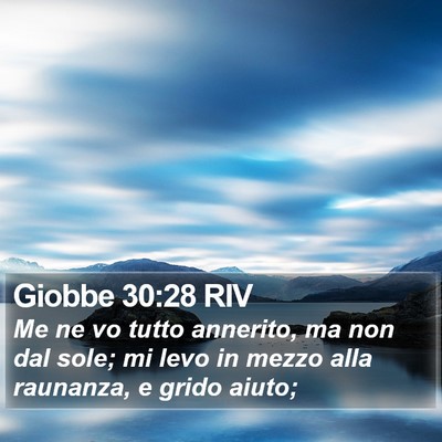 Giobbe 30:28 RIV Bible Verse Image