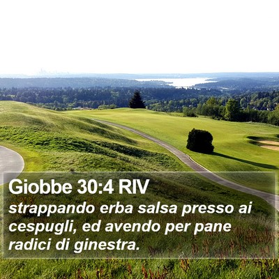 Giobbe 30:4 RIV Bible Verse Image