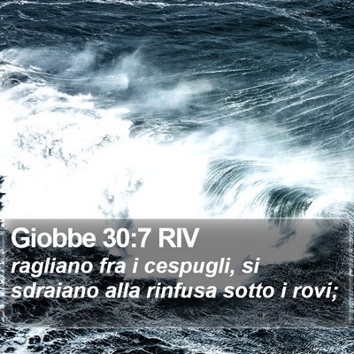 Giobbe 30:7 RIV Bible Verse Image