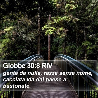 Giobbe 30:8 RIV Bible Verse Image