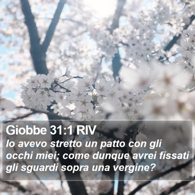 Giobbe 31:1 RIV Bible Verse Image