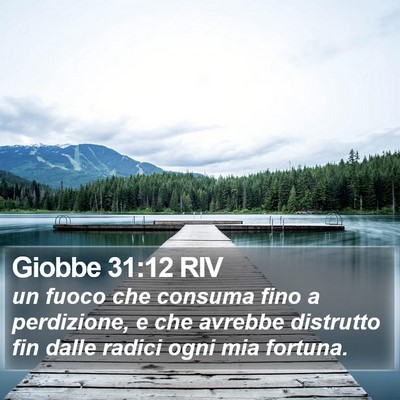 Giobbe 31:12 RIV Bible Verse Image