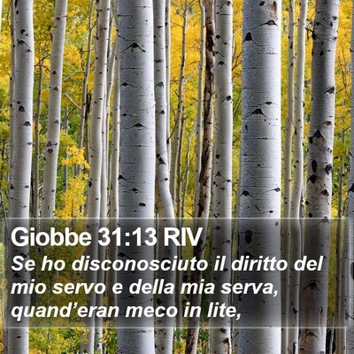 Giobbe 31:13 RIV Bible Verse Image