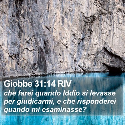 Giobbe 31:14 RIV Bible Verse Image