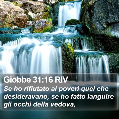 Giobbe 31:16 RIV Bible Verse Image